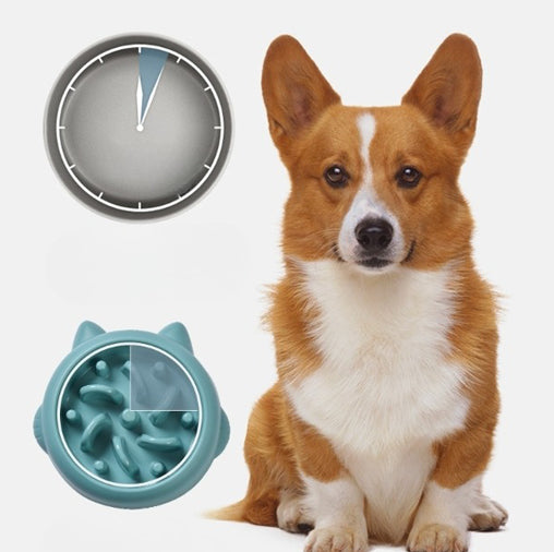 TrailPaw Elevated Interactive Slow Feeder