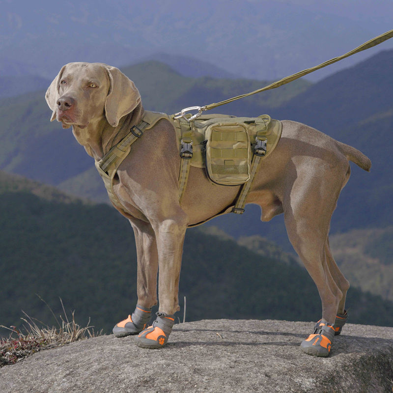 TrailPaw Summit-Grip All-Terrain Dog Hiking Boots